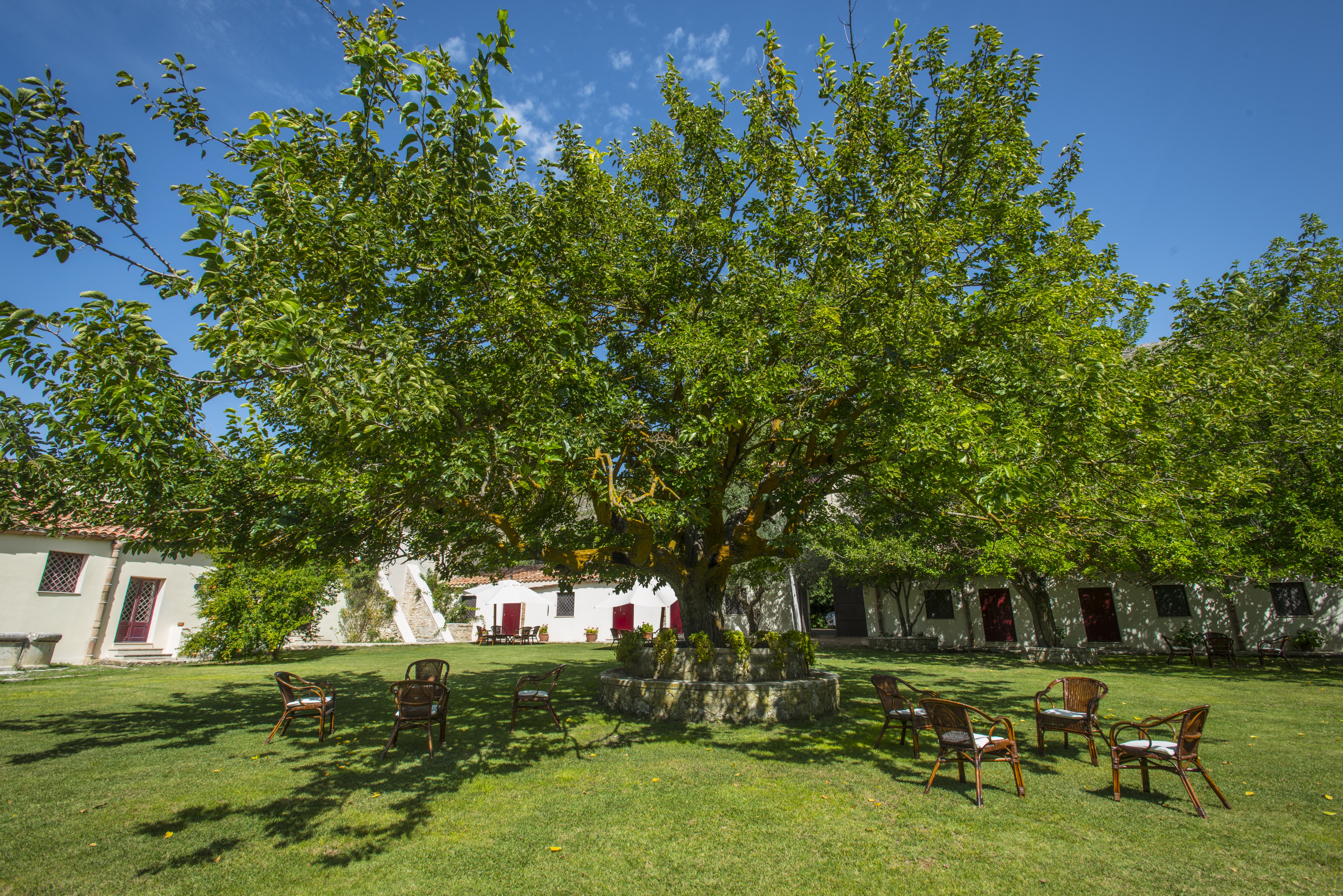 Masseria Rossella Piana Degli Albanesi Exterior photo